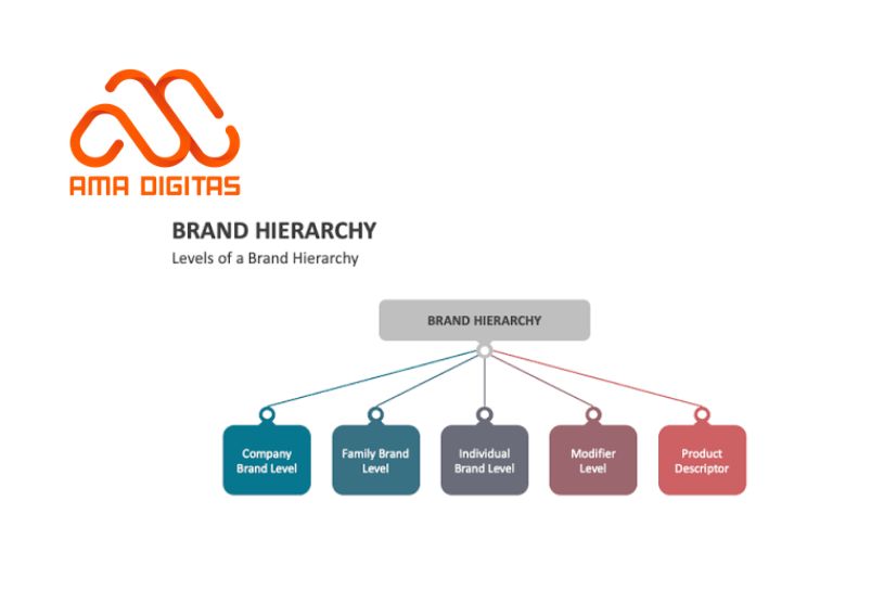 brand hierarchy là gì