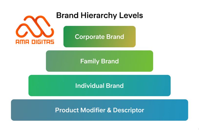 brand hierarchy là gì